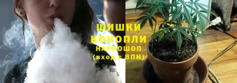 Марихуана SATIVA & INDICA  Нерчинск 